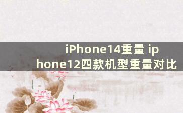 iPhone14重量 iphone12四款机型重量对比